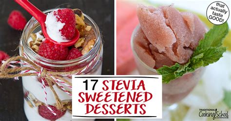 Stevia Dessert Recipes : 10 Best Stevia Vegan Dessert Recipes / 54 homemade recipes for stevia ...