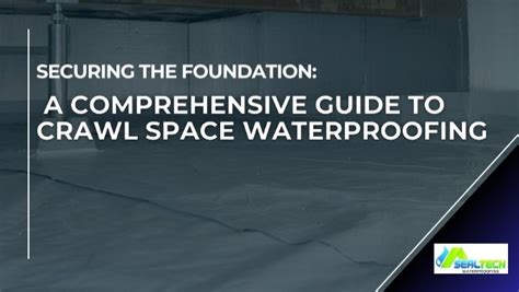 Securing the Foundation: A Comprehensive Guide to Crawl Space Waterproofing