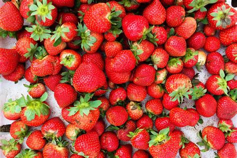 Strawberry Farm Baguio: Travel Guide (2019) - Lost and Wonder