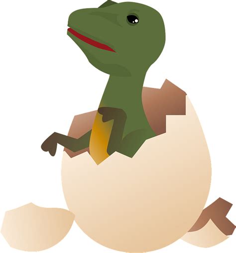 Dinosaur hatched out of egg clipart. Free download transparent .PNG | Creazilla