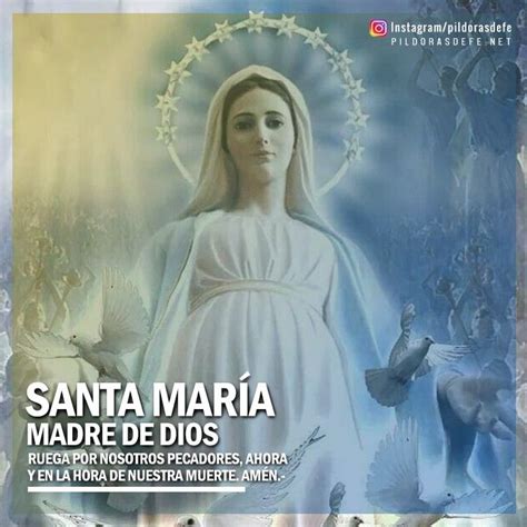 Santa María, Madre de Dios, ruega por nosotros pecadores que acudimos a ...