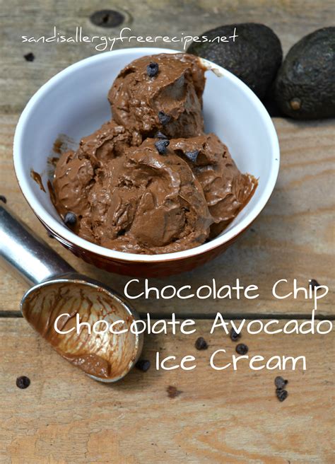 Chocolate Chip Chocolate Avocado Ice Cream (Paleo/ Vegan/ Dairy Free ...