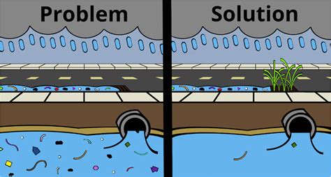 Urban Stormwater Runoff Diagram