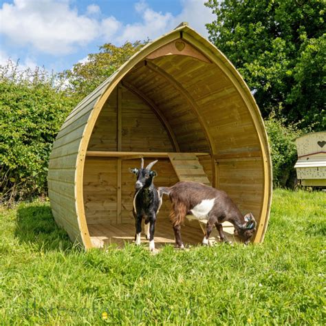 Arched Pygmy Goat Shelter - Made in Britain