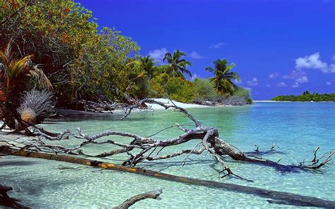 Wallpaper ID: 1549583 / deserted island, tropical, dead, deserted, nature, sand, landscape ...