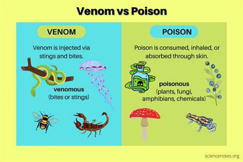 Venom vs Poison - Difference Between Venomous and Poisonous