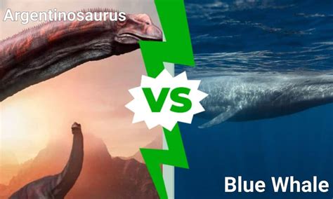 Argentinosaurus vs Blue Whale: Comparing the Size of Two Giants - A-Z Animals