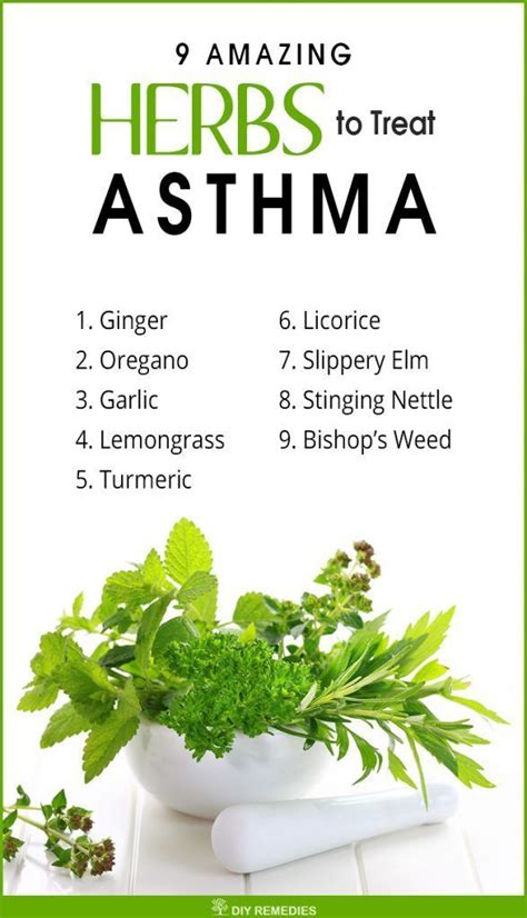 Herbs for Treating Asthma #TheNaturalColonCleanse | Natural asthma ...