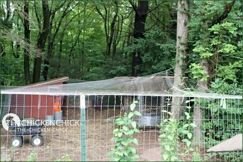 Hawk Stopper Visual Deflection Netting over Chicken Run Portable ...