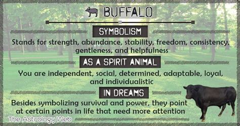 Buffalo Symbolism Spirit Animal Dream | Spirit animal, Spirit animal ...