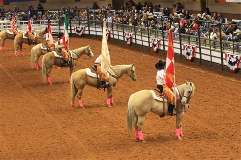 Fort Worth Rodeo March 2024 Lineup - Bambie Christine