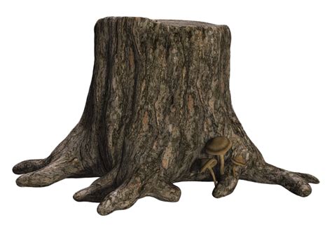 Stump Tree Trunk, Wood, Nature, Rustic, Landscape PNG