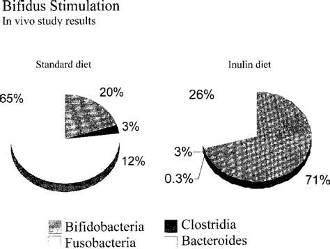 Inulin and Oligofructose: What Are They?1 - The Journal of Nutrition