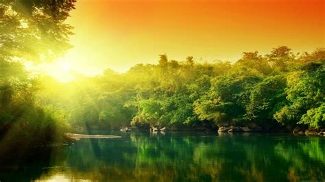 Aa Lush-Green-Forest-River-At-Sunrise-Beautiful-River-Landscape-Photography–1920×2560 | Kelley ...