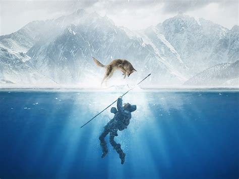 Alpha 2018, movie, fox, ocean, ice, man, animal, poster, water, white ...