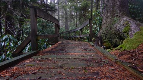 Monongahela National Forest – Robert C. Taylor Photographer