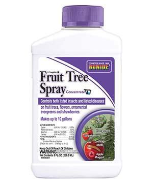 The Best Fungicide for Fruit Trees | Gardening Adviser