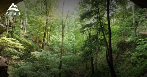 Best Trails in Hoosier National Forest - Indiana | AllTrails