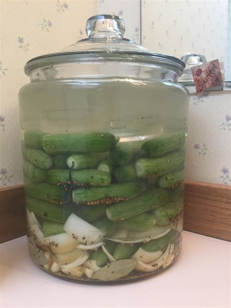 Starting a huge new jar of pickles today, 7.5 lbs of cukes in a 2 ...