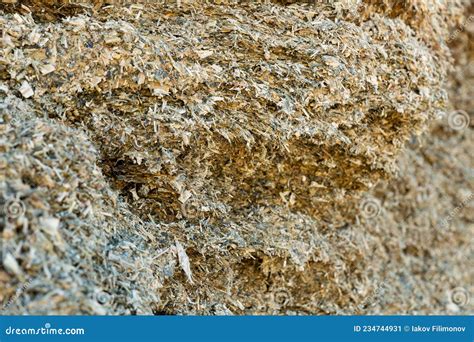 Closeup of Pile of Natural Organic Pressed Maize Silage Stock Image ...