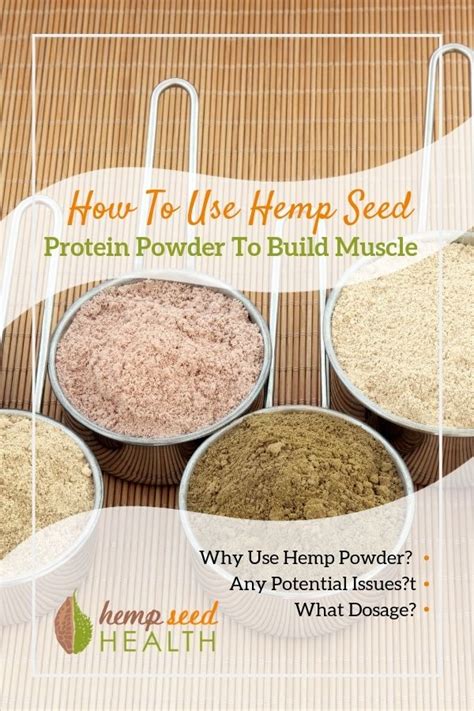 How To Use Hemp Seed Protein Powder