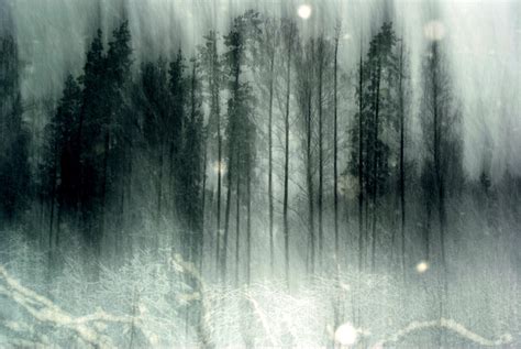 Spooky Forest Wallpapers - Wallpaper Cave