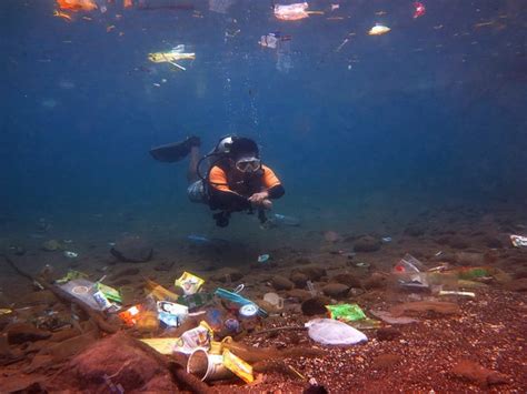 5 Bahaya Sampah Plastik Bagi Lingkungan & Kesehatan Makhluk Hidup, Wajib Diketahui | merdeka.com