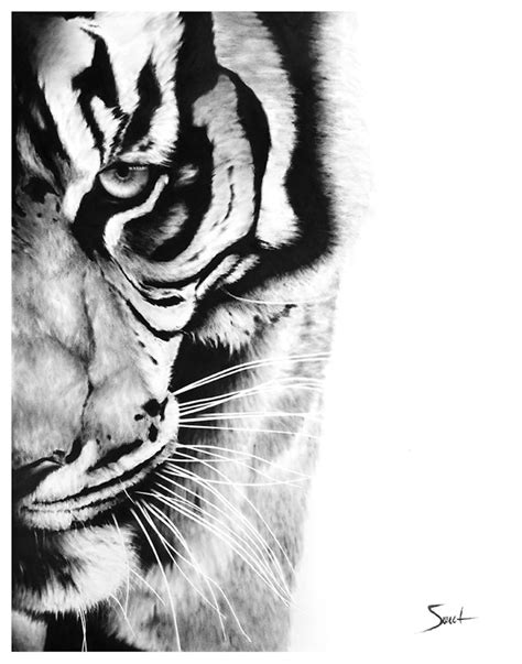 Tiger Decor Black and White Oil Painting Animal Art Print by Eric Sweet ...