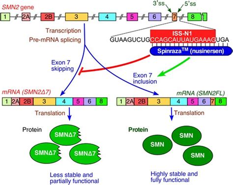 An Overview of RNA Technologies