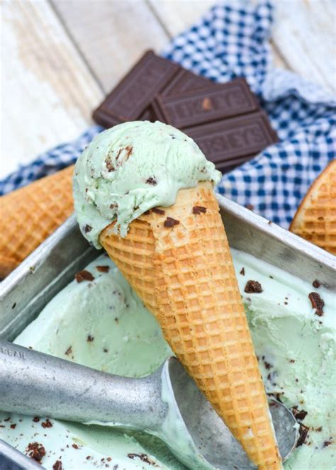 No Churn Mint Chocolate Chip Ice Cream - 4 Sons 'R' Us