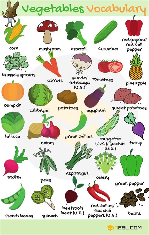 List of Vegetables: Useful Vegetable Names in English with Images • 7ESL