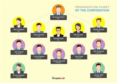 Organizational Chart Template Free Lovely 40 organizational Chart ...