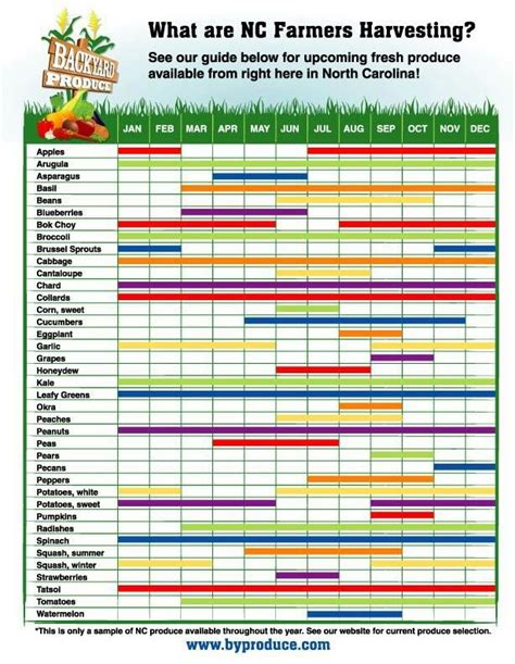 Harvesting | Garden plants vegetable, Vegetable garden planting guide, Vegetable planting guide