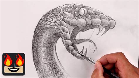 How To Draw a Snake - YouTube