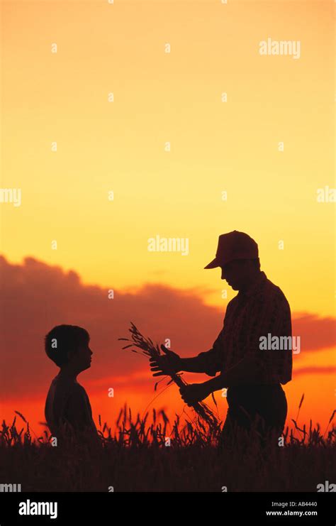 Agriculture - Silhouette of a farmer and his son at sunset inspecting Stock Photo: 738368 - Alamy