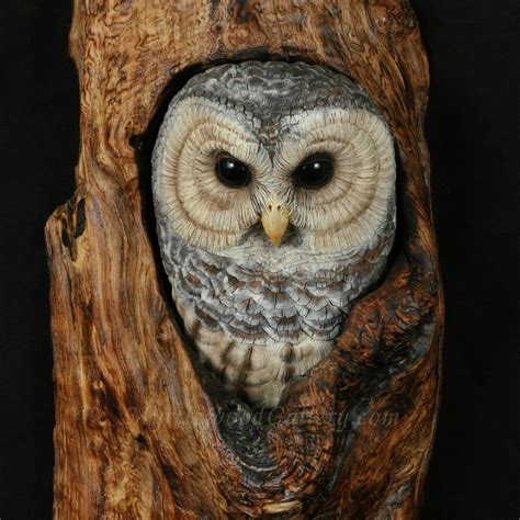 MG Barred Owl Hand Carved | Wooden owl, Chainsaw wood carving, Wood carving faces