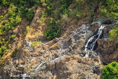 Kuranda Rainforst Guide - Wanderlust Travel & Photos