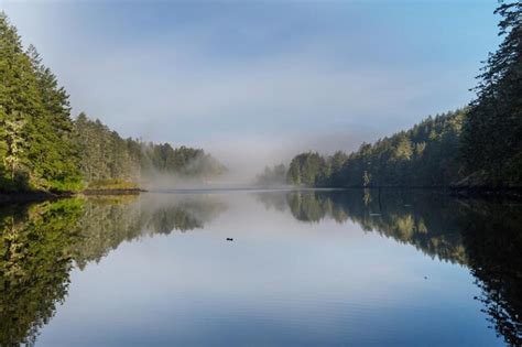 Premium Photo | Fog on the lake