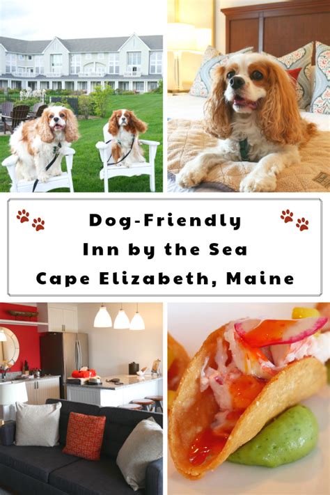 Dog-Friendly Spa Hotel, The Inn by the Sea in Cape Elizabeth, Maine. This pet-friendly ...