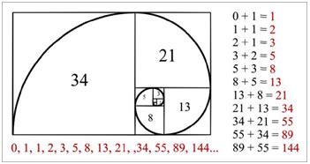 Fibonacci sequence it is nature's way of spiritual ascending into godhood. Compare the numbers ...