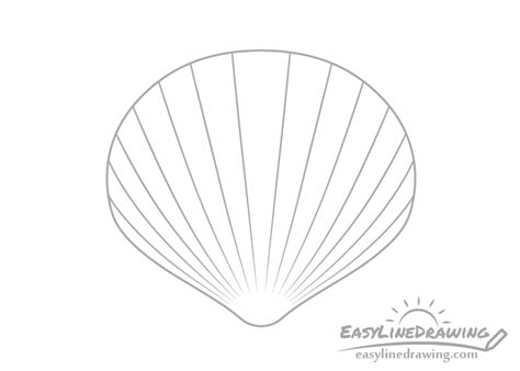 How to Draw Shells Step by Step - EasyLineDrawing