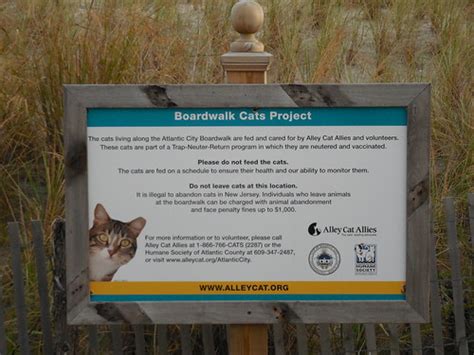 Boardwalk Cats Project Sign | Atlantic City, New Jersey I wo… | Flickr