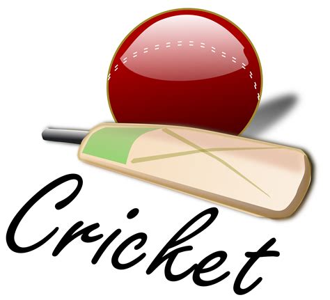 Cricket match clipart 20 free Cliparts | Download images on Clipground 2024