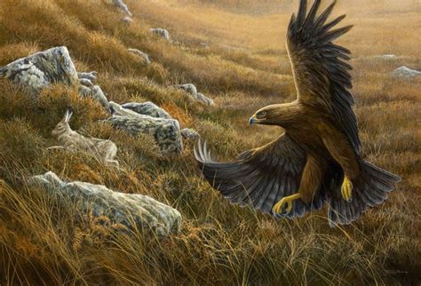 Galleries | Jeremy Paul - Wildlife Artist | Wildlife artists, Wildlife art, Bird art