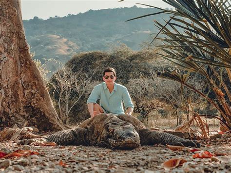 Komodo dragons, Komodo National Park, Flores Island, Indonesia | Komodo national park, Komodo ...