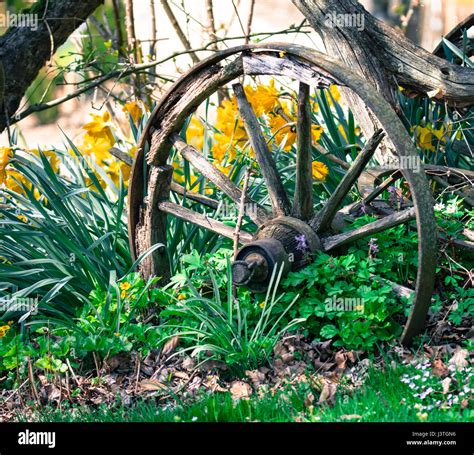 Wheel bed hi-res stock photography and images - Alamy