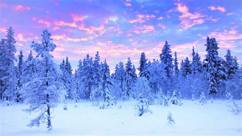 Lapland Winter Travel : Travel and Tour Packages to the Swedish Lapland : Nordic Vistior