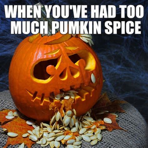 Enjoy Fall With These 12 Funny Pumpkin Spice Memes