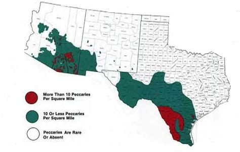 Javelina (Peccaries) Range Map of US -- Estimated 250,000 in US, with TX population near 200,000 ...