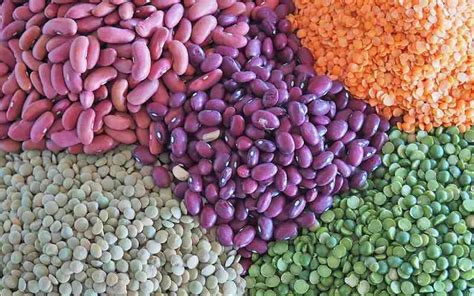 Pulse keeps the pulse beating: Why pulses are important - FarmKenya ...